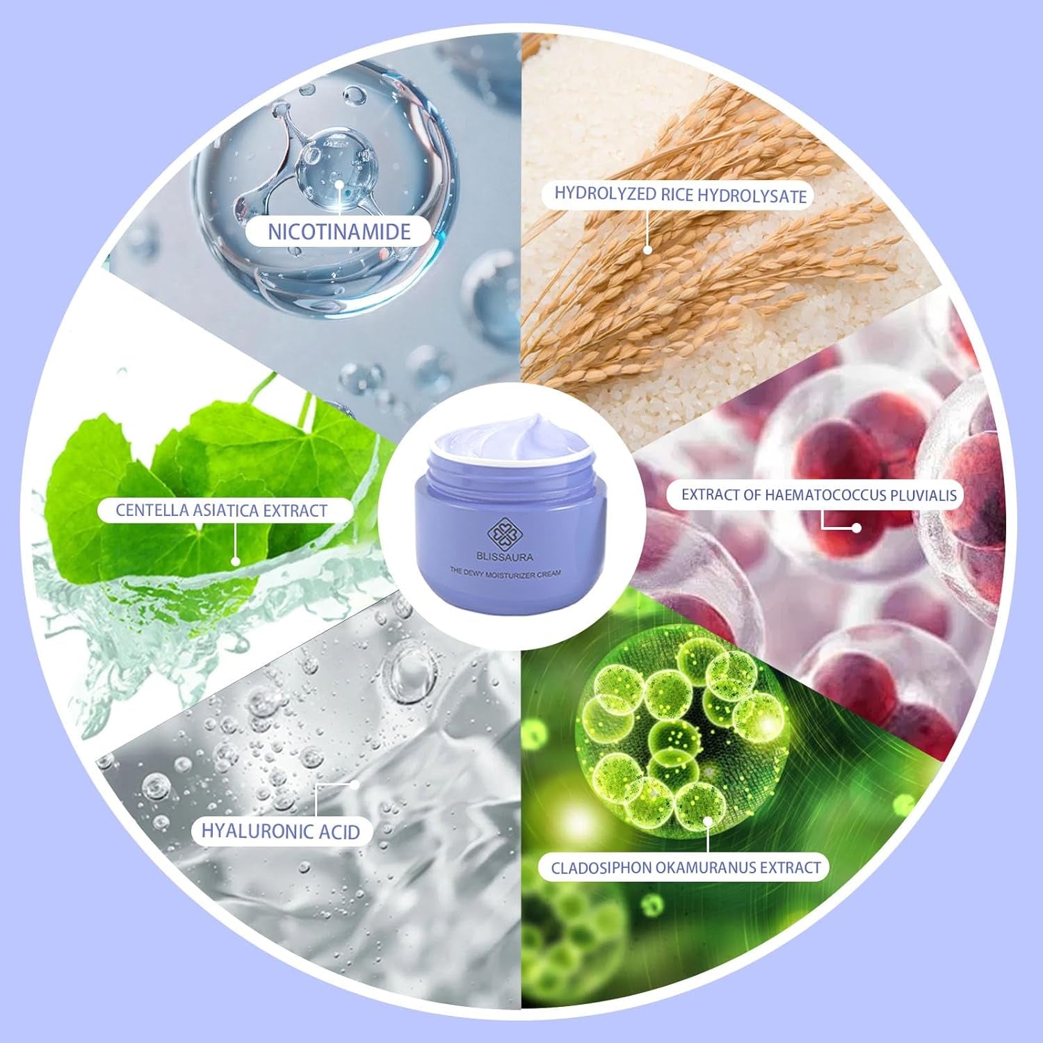 The Dewy Moisturizer Cream Anti-Aging Face Moisturizer Dewy Skin Cream for Women with Purple Rice & Hyaluronic Acid for Radiant, Hydrated Skin