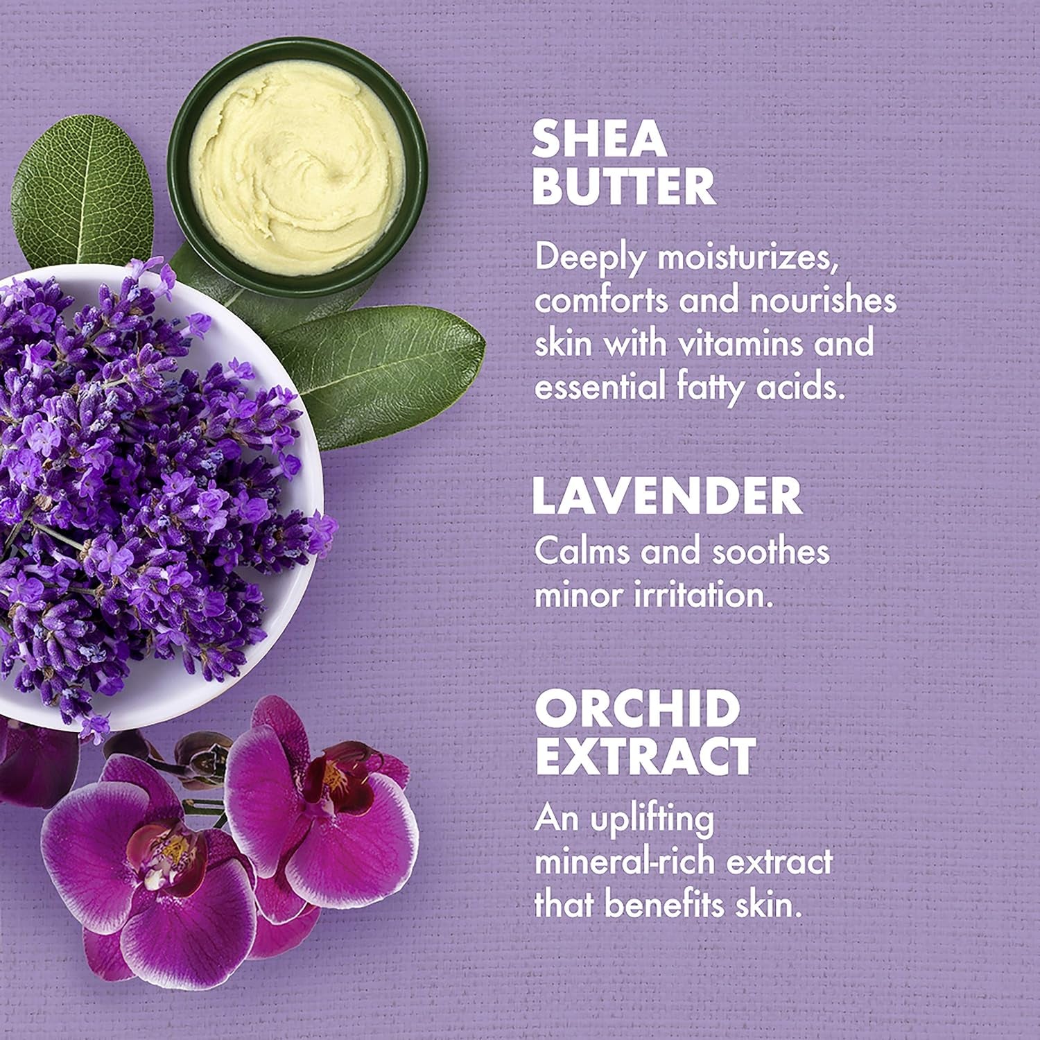 Bath, Body and Massage Oil Lavender Wild Orchid Calming Moisturizer for Sensitive Skin